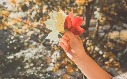 Сила Благодарности