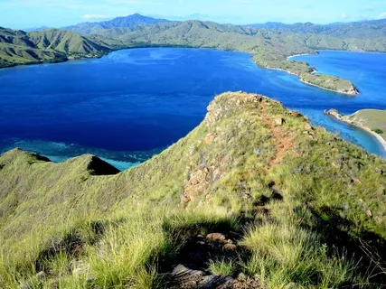 Сила Чистоты  (Power of Purity in Russian)