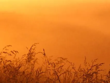 Silence And Resurrection: An Easter Reflection