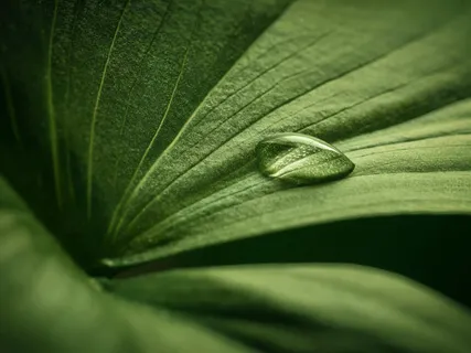 Silence Is The Beginning