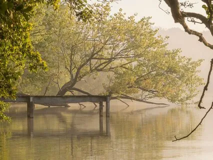 Silence: Practice Morsels