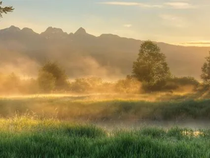 Silence Of First Light