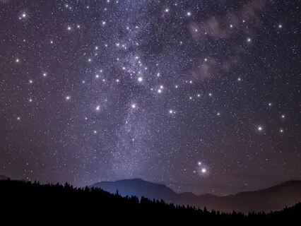 Silence Of The Night 