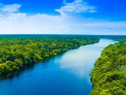 Silence, Understand Attachment, Intelligence, Stay Unknown