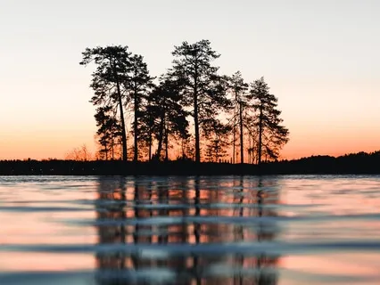 Silent Expansion To Universal Consciousness | Raise Your Frequency Vibration