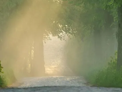 Silent Fog Passage