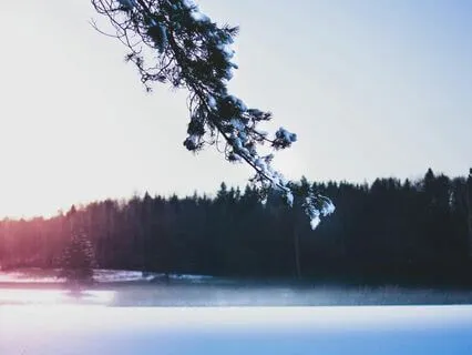 Silent Frost On The Lake