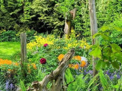 Silent Garden
