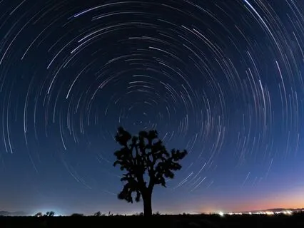 Silent Nights: Calm Your Mind