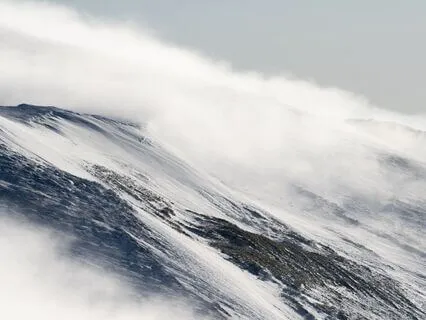 Silent Presence: Relax And Let Go - 94