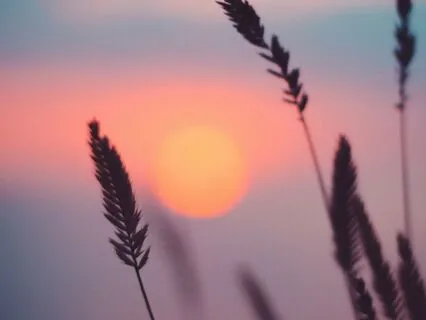 Silent Sanctuary: A Moment Of Peace For Moms