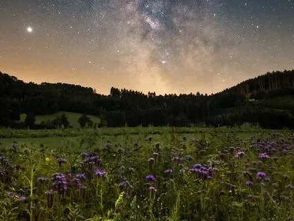 Silent Space: A Mindful Clarity Cleanse - Meditation 72