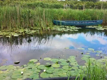 Sound, Silence, Presence: A 5-Minute Break