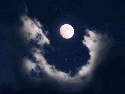 Silent Stars: Sleep Under Calm Skies