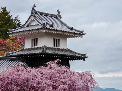 Silent Tea And Meditation, March 2021