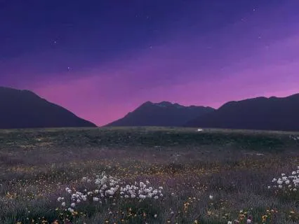 Silent Valley Night Calm Sleep Journey