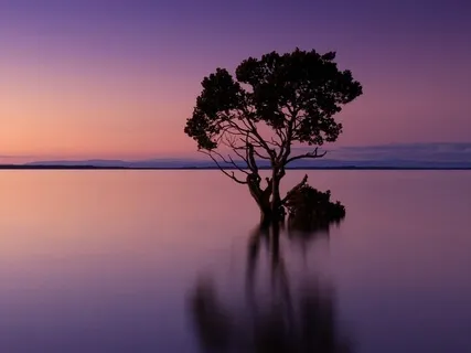 Silhouette Poem With Commentary