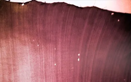 Silk Road Rendezvous 2