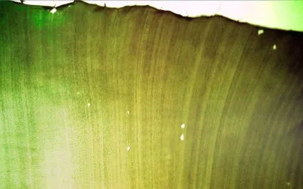 Silk Road Rendezvous 5