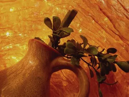 Silky Turns Into Still Life: Heal With Sound