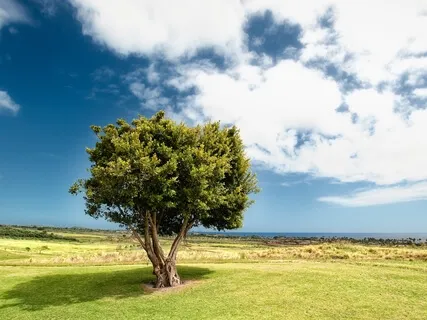Сильнейшая Медитация для Привлечения Изобилия в Свою Жизнь