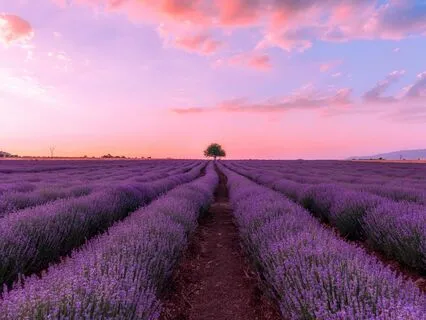 Silt - Dream Field | Ambient Binaural Music