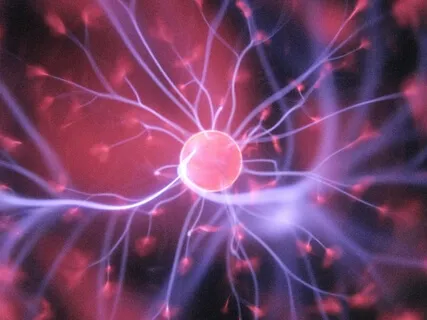 Silva Method | Alpha Meditation (15 Minutes) | No Music