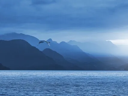 Silver Blue Twilight (Harp)