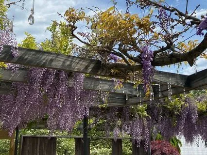 Receiving Silver Light From The Earth And Cosmos