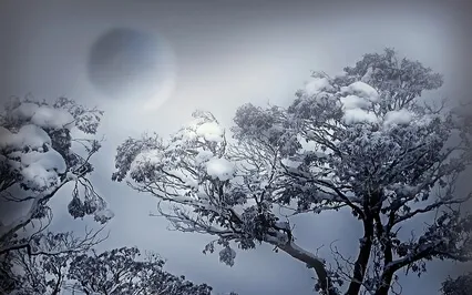 Silver Snow Moon - Spacey, Mystical, Full Moon, Cosmic Harp