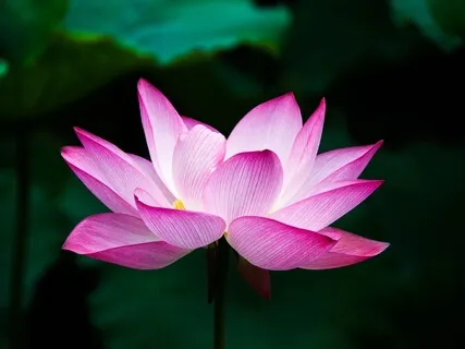 Simple 1 Minute Mini Meditation To Release Stress