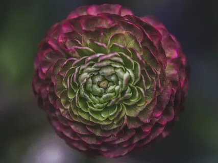 Simple 3-Step Meditation Practice