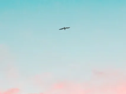 Simple 5-Minute Breath Meditation