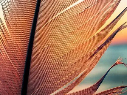 Simple 5 Minute Calming Affirmations