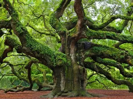 Quick 5-Minute Meditation