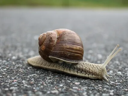 Simple 61-Point Body Scan