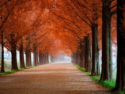 Simple Affirmations For Self Belief