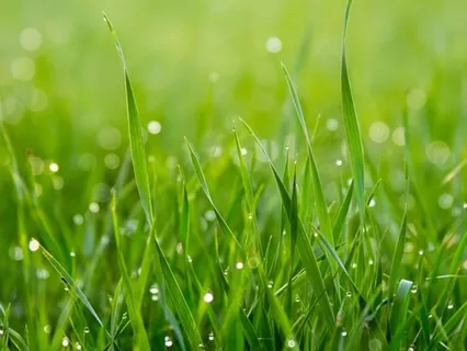 Simple And Beautiful Embodiment