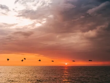 Simple & Easy Morning Isochronics