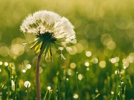 Simple And Fun Manifesting With The Staff Room Technique