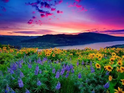 Simple Beginner's Meditation For Morning Or Evening