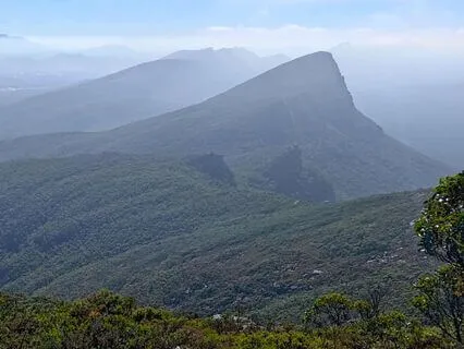 Simple Body Scan Awareness