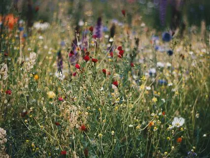 Simple Body Scan For Ease & Relaxation