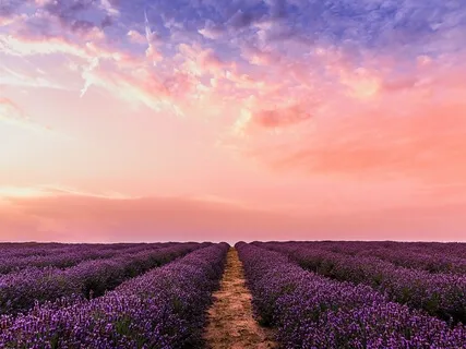 Simple Body Scan Meditation