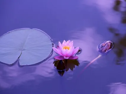 Simple Body Scan Relaxation ( No Music )