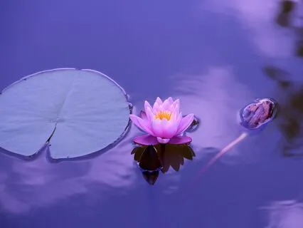 Simple Body Scan Relaxation