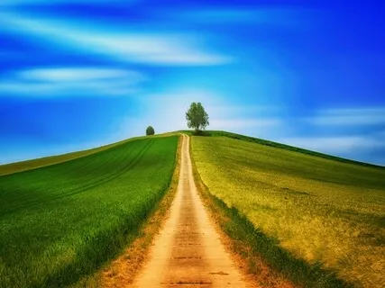 Simple Breath & Counting Morning Meditation