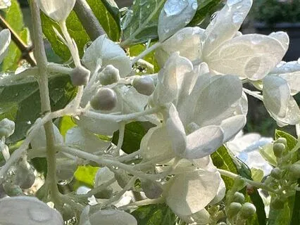 Simple Breath And Sound: Sit & Savor