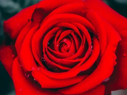 Simple Breath Awareness At The Heart