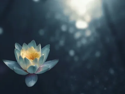 Simple Breath Awareness Meditation